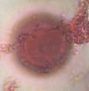 unidentified pollen under a microscope, verified by PollyMap