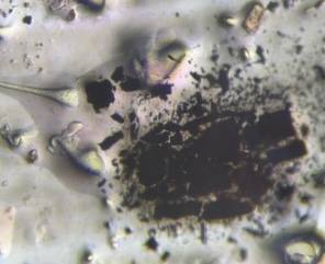 Microscope image of Soot — other (reference) — verified by PollyMap